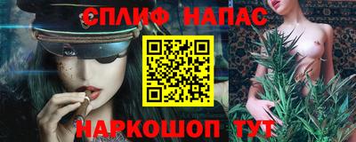 сатива Малгобек
