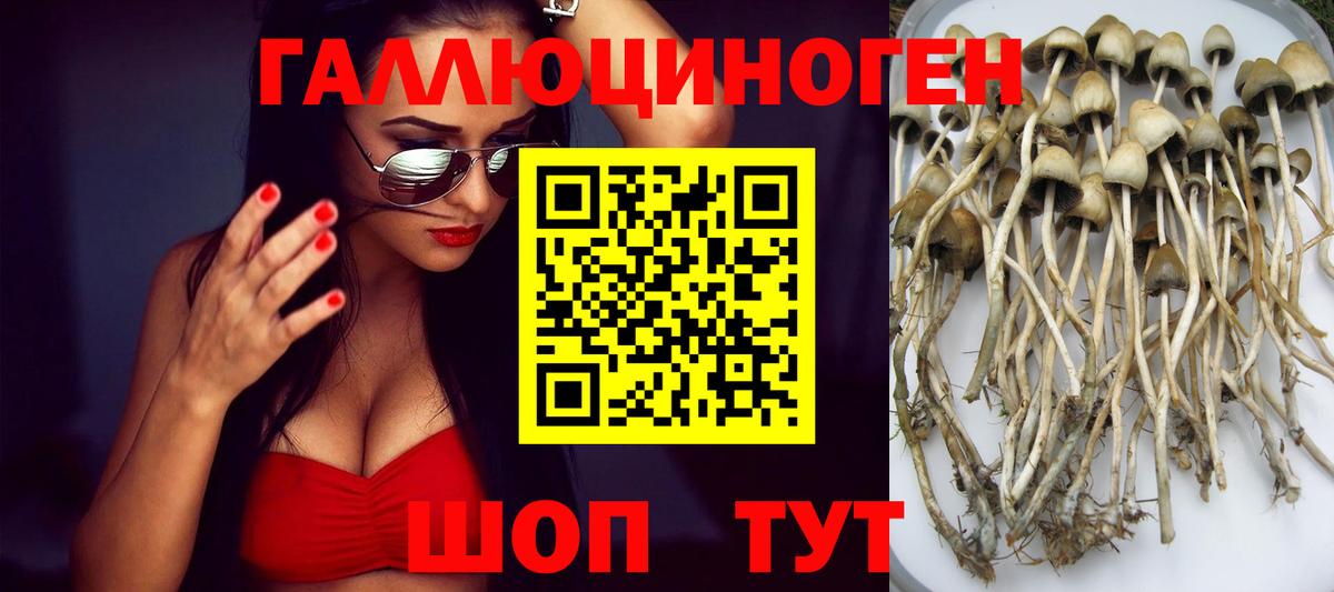 Галлюциногенные грибы Magic Shrooms Железноводск